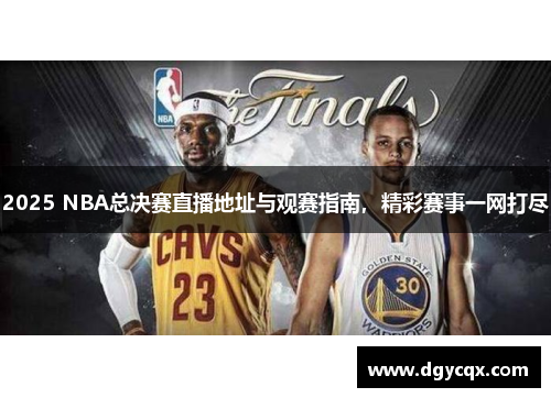 2025 NBA总决赛直播地址与观赛指南，精彩赛事一网打尽